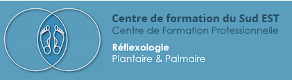 Réflexologie - Formation - VAR - Marseille
